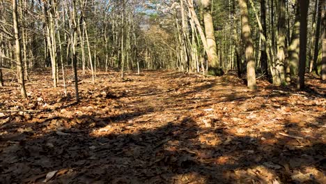 Walking-in-point-of-view-through-the-trail