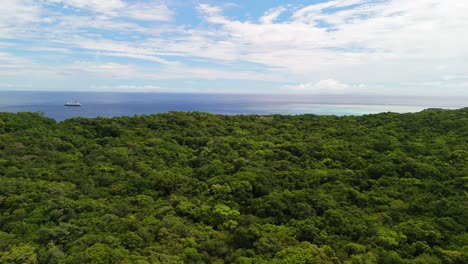 Drone-flying-above-island-forest-with-cruise-ship-tour-in-the-background-anchored