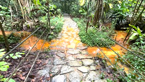 Gepflasterter-Gehweg-Und-Bach-Im-Windsor-Nature-Park-In-Singapur