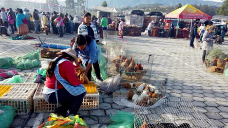 Geschäftige-Marktszene-In-Otavalo-Mit-Lebhaften-Ständen-Und-Einheimischen,-Die-Geflügel-Verkaufen