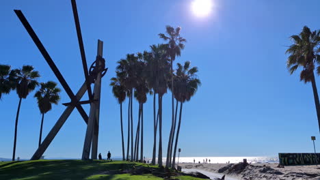 Tilting-shot-over-the-green-grass-and-palmtrees-on-Venice-beach