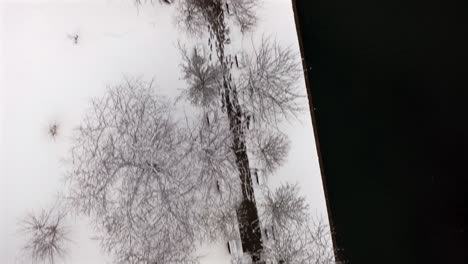 Una-Vista-Aérea-De-Un-Parque-Cubierto-De-Nieve-En-Un-Día-Nublado-De-Invierno