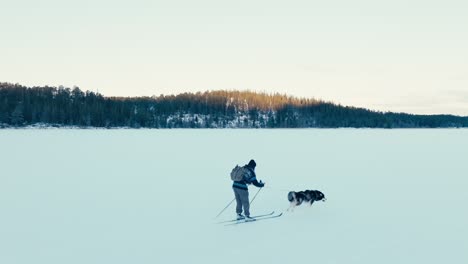 Skijöring---Alaskan-Malamute-Hund-Zieht-Skifahrer-Auf-Schnee-Im-Winter