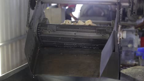 pov-shot-Potatoes-and-rice-being-washed-in-water-and-ready-for-chips