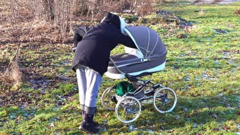Mother-check-baby-in-stroller,-sunny-countryside-yard-with-green-grass