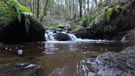 Small,-slow-moving-woodland-stream,-flowing-slowly-through-the-forest-trees