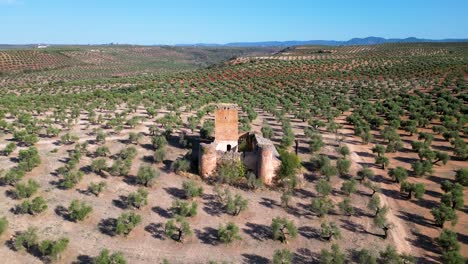 Vista-Lejana-Del-Castillo-Medieval-Aragonesa-En-Olive-Garden