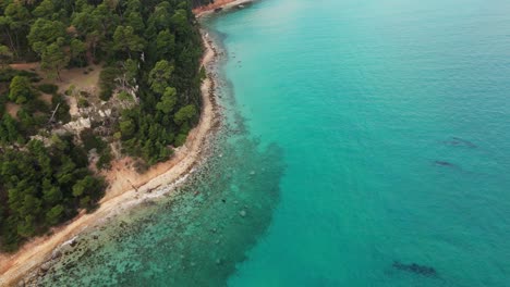 Flying-over-of-a-coastline-with-pine-trees-and-turquoise-water-in-Kallithea,-Halkidiki,-Greece