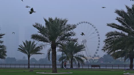 El-24-De-Febrero-De-2024,-Los-Residentes-Dan-Un-Paseo-En-Una-Brumosa-Mañana-De-Invierno-A-Lo-Largo-De-La-Costa-De-Sharjah,-En-Los-Emiratos-Árabes-Unidos.