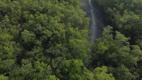 Ariel-view-shot-of-Sundarban,-which-is-one-of-the-biggest-tiger-reserve-forest-in-Asia