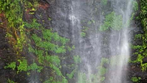 Láminas-De-Agua-Caen-En-Cascada-Por-Una-Exuberante-Pared-Rocosa-De-Selva-Tropical-Desde-Una-Cascada-Arriba