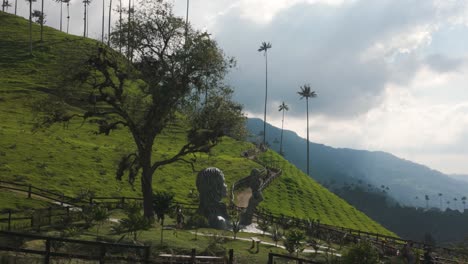 Ladera-Del-Valle-De-Cocora-Con-Figuras-Talladas,-Colombia