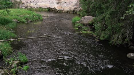 El-Río-Ahja-En-Verano.-Acantilado-De-Arenisca