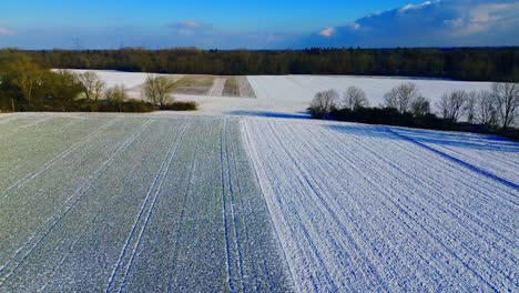 Winter's-Touch-on-Farmland:-Aerial-View-of-Snow-Dusted-Crop-Rows