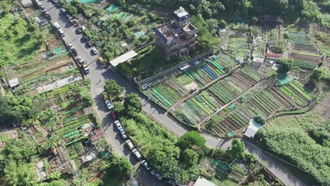 Luftaufnahme-Von-Nutzpflanzen-Und-Gemüsebeeten-In-Zhuwei,-Bezirk-Tamsui,-Taipeh