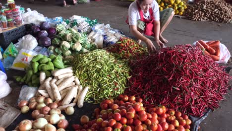 Eine-Nahaufnahme-Zeigt-Eine-Reihe-Verschiedener-Arten-Und-Farben-Von-Chilis,-Tomaten-Und-Anderen-Blattgemüsen,-Mit-Einer-Frau-Im-Hintergrund