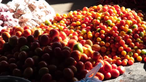 El-Sol-Brilla-Sobre-La-Montaña-De-Tomates-Cherry-Mostrando-Sus-Colores-Vibrantes