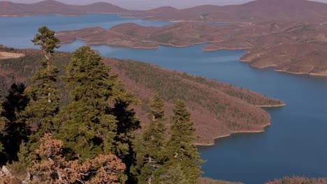 Drone-push-past-coniferous-trees-to-open-air-space-above-Lake-Kerkini-Agrafa-Greece