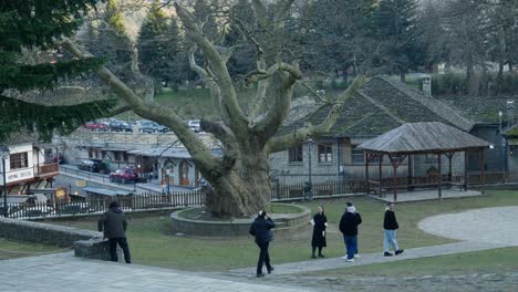 Group-of-male-female-tourist-walk-cobblestone-churchyard-Metsovo-Greece-winter