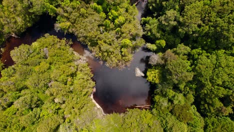 View-from-above-spiraling-over-a-red-river-in-the-middle-of-a-virgin-forest,-tepuhueico-park,-Chiloe