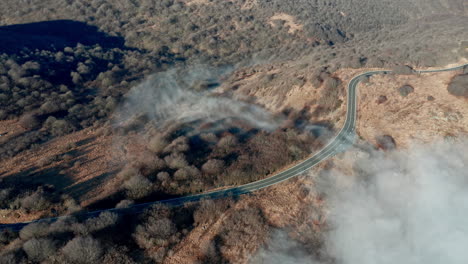 Aerial-shot-of-a-winding-road-cutting-through-a-misty-forested-landscape