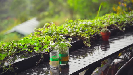 Comodidad-Atmosférica:-Balcón-De-Café-De-Madera-Adornado-Con-Un-Frasco-De-Flores-De-Margarita-En-Medio-De-Un-Ambiente-De-Día-Lluvioso