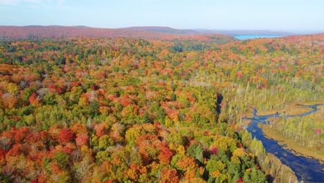 Fly-Over-Autumn-Landscape-With-Colorful-Trees-In-Forest,-Montreal,-Quebec,-Canada