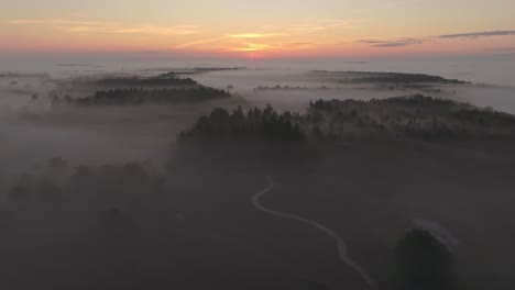 Aerial-view-of-full-purple-colors-of-the-heather-in-early-morning,-Netherlands