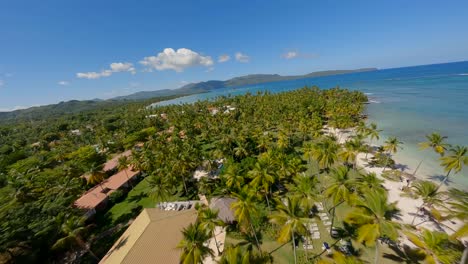 FPV-aerial-panoramic-overview-above-stunning-coconut-palm-tree-grove-at-Asserradero-Samana-Dominican-Republic