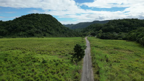 La-Carretera-Fluye-A-Través-Del-Campo-De-La-Selva-Rural-Jamaica.