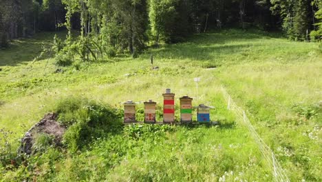 Salir-De-Una-Colmena-En-La-Campiña-Francesa-Para-Revelar-Vegetación.