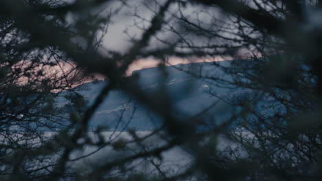 Coastal-seaside-land-seen-through-blurry-trees