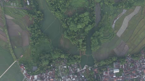 Luftaufnahme-Einer-Drohne-über-Einem-Grünen-Landwirtschaftlichen-Feld-Mit-Einem-Dorfhaus-Im-Nebligen-Morgen
