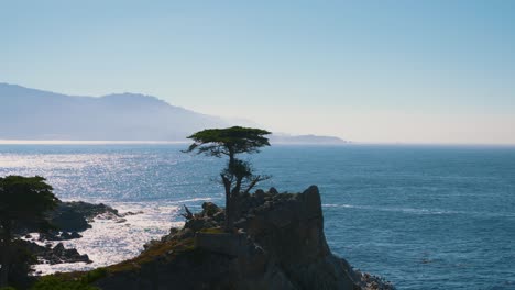 Lone-Cypress-Tree-at-17-Mile-Drive-in-Monterey,-California