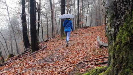 Frau-Mit-Regenschirm-In-Sportbekleidung-Läuft-Im-Regen-Auf-Einem-Mit-Blättern-Bedeckten-Waldweg