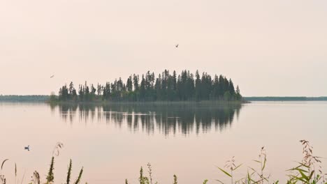 Día-Ahumado-En-La-Isla-Elk-Alberta