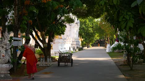 Orange-robed-monks-cleaning-temple-grounds-in-Thailand