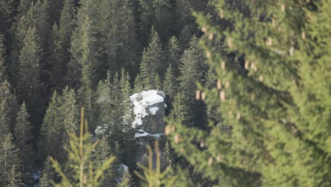 Herrlicher-Winterurlaub-Inmitten-Der-Berge