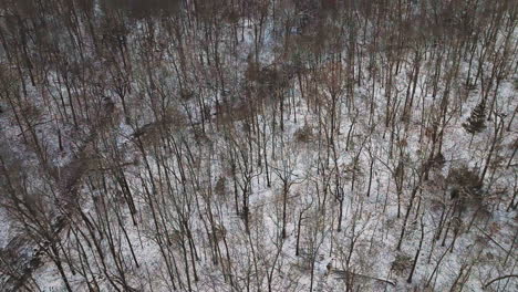 Snow-covered-mount-sequoyah-trees-in-winter,-arkansas,-no-people,-tranquil,-aerial-view
