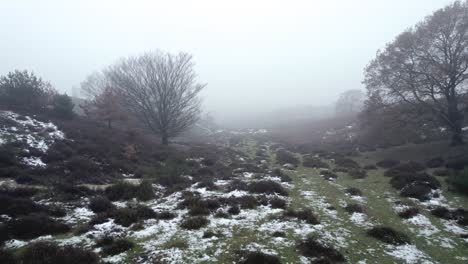 Snow-scattered-on-livestock-sheep-pathway-through-the-misty-Dutch-moorland-landscape-with-winter-barren-trees-and-heath-bushes