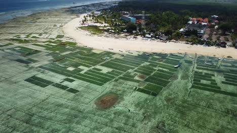 Seaweed-farm-scenic-coastal-landscape-on-Nusa-Lembongan,-aerial-circular-shot