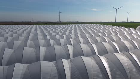 Impresionante-Diseño-De-Túnel-De-Lámina-De-Cultivo-Antena-De-Cielo-Azul-De-Día-Soleado