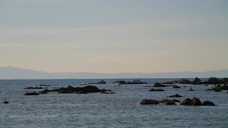 Looking-out-on-ocean-horizon-with-silhouetted-cormorants-sitting-on-top-of-rocks