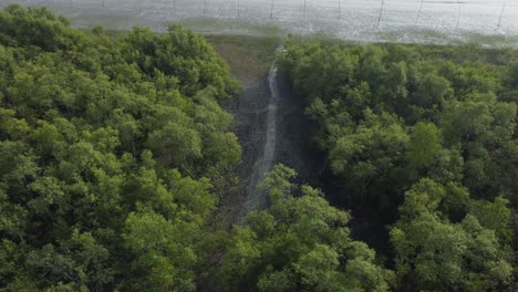 Ariel-view-shot-of-Sundarban,-which-is-one-of-the-biggest-tiger-reserve-forest-in-Asia