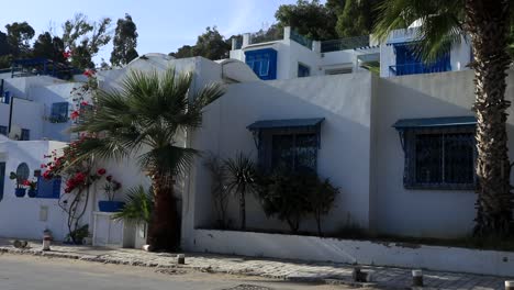 White-and-blue-traditional-houses-in-Sidi-Bou-Said-street,-Tunisia,-under-clear-blue-sky