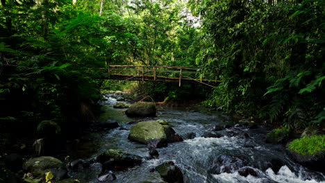Small-and-wooden-bridge-crossing-stream-in-tropical-jungle