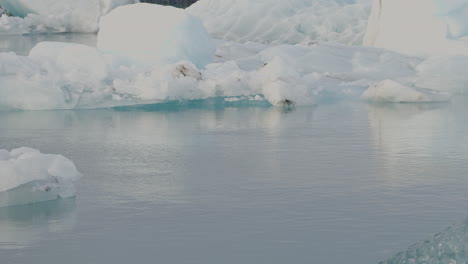 Nahaufnahme-Von-Gletschern,-Die-Im-Eisigen-Wasser-Der-Gletscherlagune-Jökulsárlón-In-Island-Schwimmen