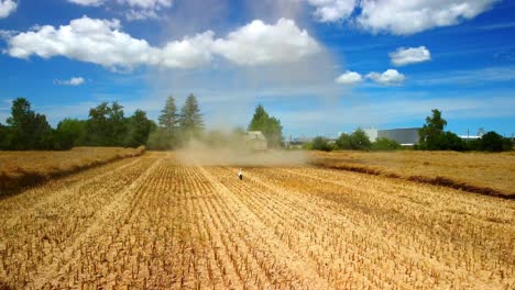 Stork-Walk-In-The-Background-Combine-Harvester-Working-On-A-Wheat-Field