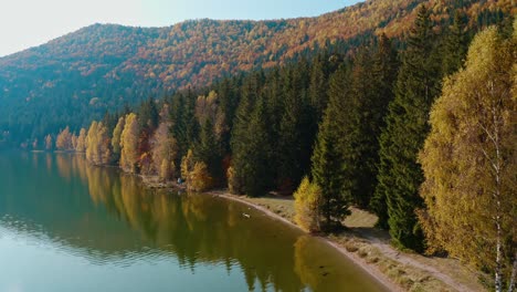 Autumn-colors-reflect-on-Lake-Sfanta-Ana,-aerial-shot,-tranquil-nature-scene