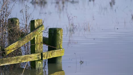 Old-moss-covered-fence-above-the-water-during-a-winters-flood-in-the-UK,-global-warming-and-rising-water-levels
